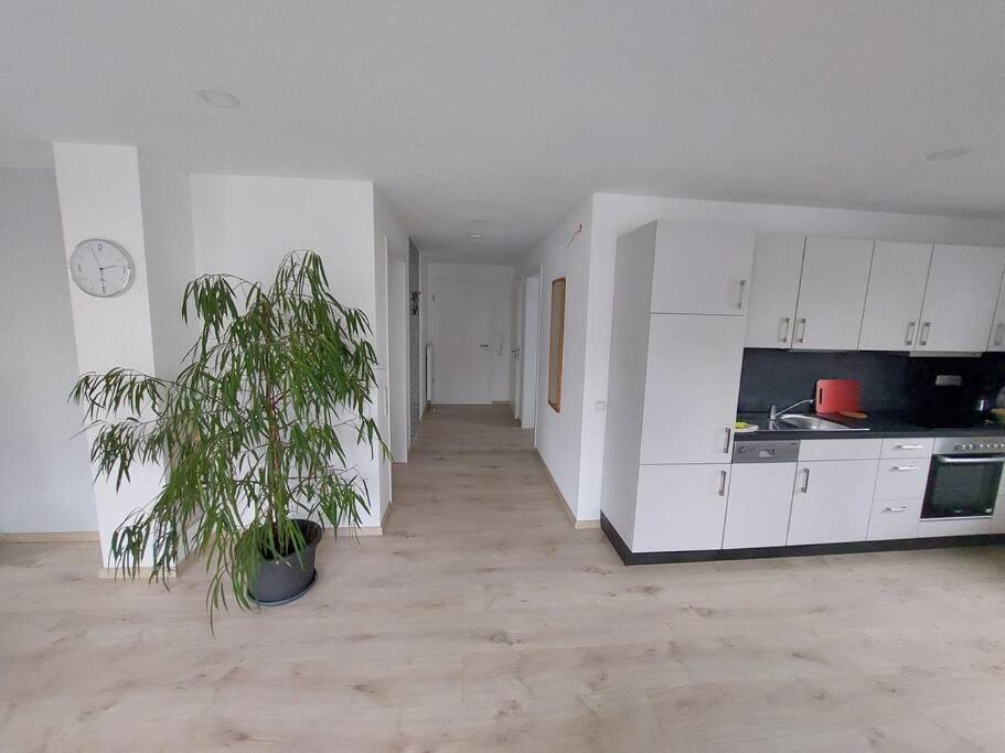 Ferienwohnung Koenigsquelle Bad Wildungen Exterior photo